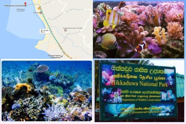 Lucky Seven Beach Resort ฮิกคาดูวา ภายนอก รูปภาพ